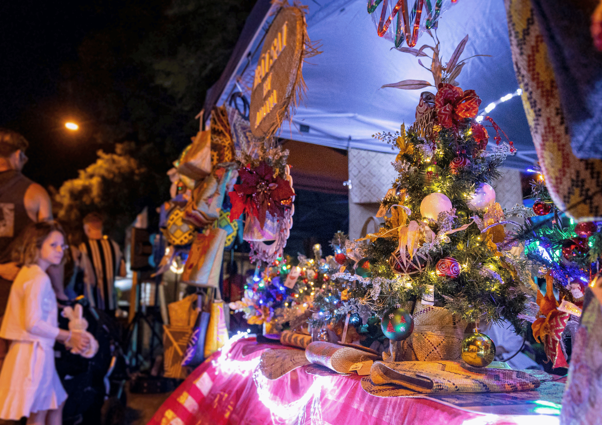 Real Reindeers and Santa Head to Redcliffe Christmas Twilight Market