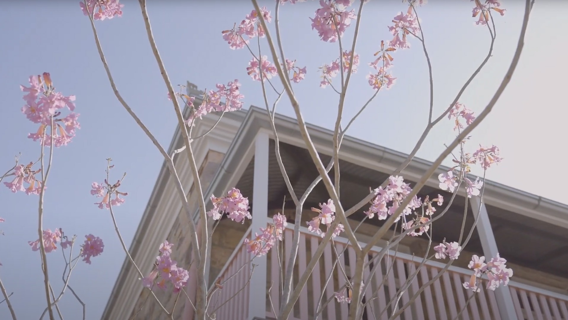 MISS MIDGLEY'S: Pretty in Pink