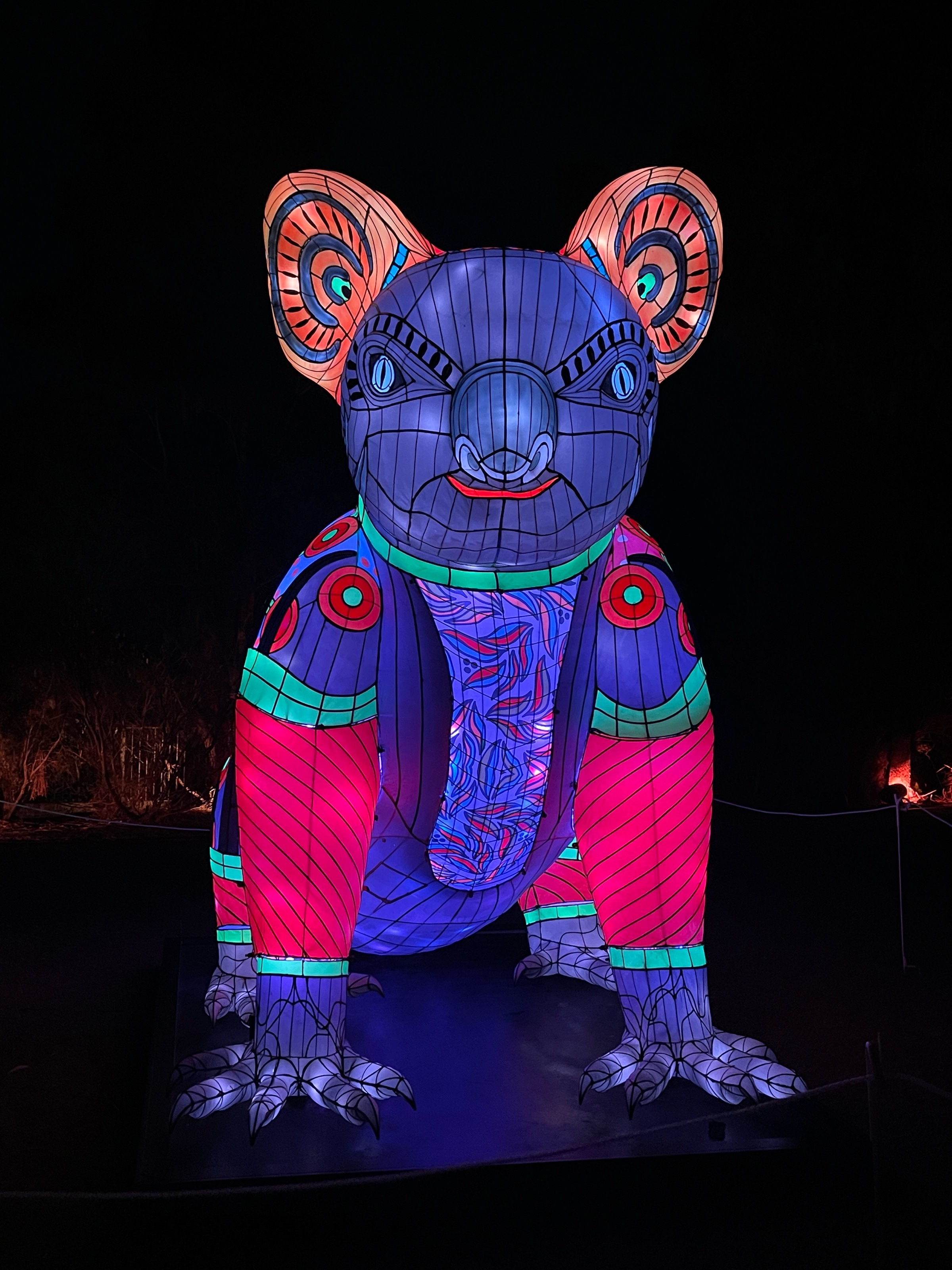 Walking Through Light and Country: NightGlow Takes Over Mt Coot-tha